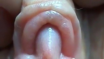 Up Close And Personal With A Girl'S Masturbation Session
