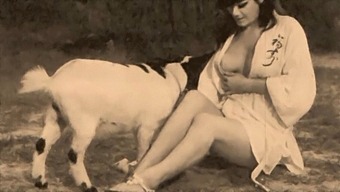 Classic Retro Film Features Taboo Encounter With Dog And Woman